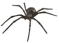 Collecta speelgoedspin zwarte weduwe junior 14 cm ABS zwart