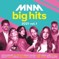 MNM Big Hits 2021 - Volume 1 - CD (0600753937716)