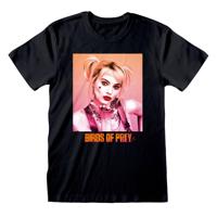 Birds Of Prey T-Shirt Gradient Size M