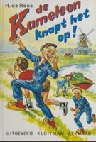 De Kameleon knapt het op! - H. de Roos - ebook