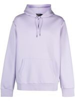 Polo Ralph Lauren hoodie à logo brodé - Violet