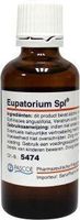 Pascoe Eupatorium similiaplex (50 ml)