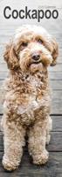 Cockapoo Slim Calendar 2026 Dog Breed Slimline Calendar - 12 Month