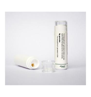 Calcarea carbonica ostrearum LM30