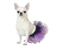 ATOSA Tutu-kostuum voor huisdieren, paars