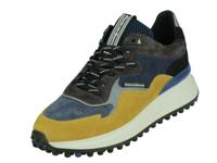 Floris Van Bommel Floris Sport