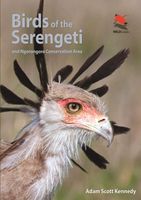 Vogelgids Birds of the Serengeti | Princeton University - thumbnail