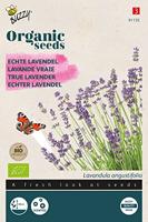 Buzzy Organic echte lavendel(BIO)
