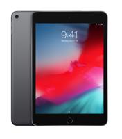 Apple iPad mini 256 GB 20,1 cm (7.9") Wi-Fi 5 (802.11ac) iOS 12 Grijs