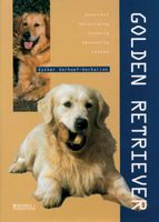 Golden Retriever - thumbnail