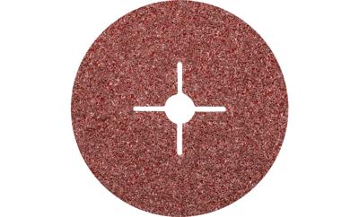 PFERD FS 180-22 A 16 64101175 Schuurpapier voor schuurschijf Korrelgrootte 16 (Ø) 180 mm 25 stuk(s)