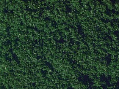 NOCH Flock dark green schaalmodel onderdeel en -accessoire Gras