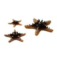 Oase Zeesterren set 3-3-delige aquariumdecoratie, decoratie in de vorm van drie knotige roller-zeesterren, accessoires voor aquariumbekken, in naturel