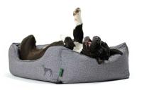 Hondenmand Boston Grijs