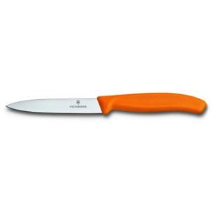 Victorinox SwissClassic 6.7706 Roestvrijstaal Schilmes