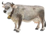 Collecta speeldier alpenkoe 12,8 ABS grijs