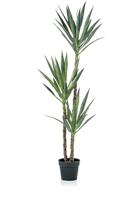 Easyplants Kunstyucca-plant, 150 cm
