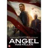 Angel Has Fallen (DVD)