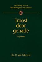 Troost door genade - J.J. van Eckeveld - ebook