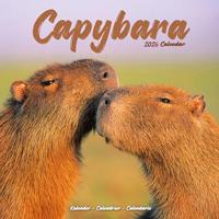 Capybara Calendar 2026 Square Animal Wall Calendar - 16 Month