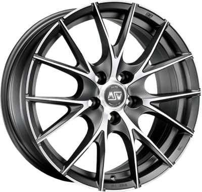 MSW MSW25 MATT TITAAN GEPOLIJST VLAK