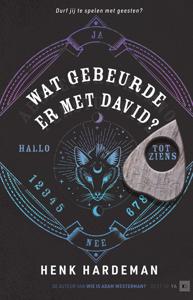 Wat gebeurde er met David?