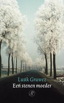 Een stenen moeder - Luuk Gruwez - eBook (9789029576642)