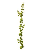 Pothos kunst guirlande 180cm - bont