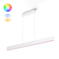 Philips Hue Ensis - White and Color hanglamp 929003053301