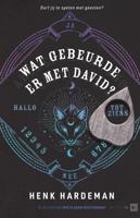 Wat gebeurde er met David? - Henk Hardeman - Hardcover (9789000383481)