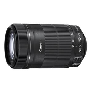 Canon EF-S 55-250mm f/4.0-5.6 IS STM objectief