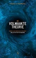 De volmaakte theorie - Pedro Ferreira - ebook