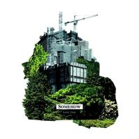 Low Tide - LP (3700398721187)