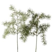 Boltze dennen tak 2s H62cm Materiaal: Kunststof