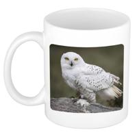 Foto mok sneeuwuil mok / beker 300 ml - Cadeau uilen liefhebber - feest mokken