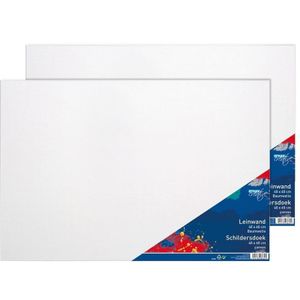 2x Luxe canvas doeken om te schilderen 40 x 60 cm   -