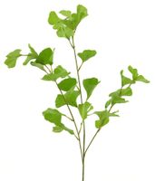 Gingko spray groen 90cm