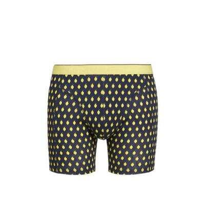 WE Fashion Fundamentals boxershort