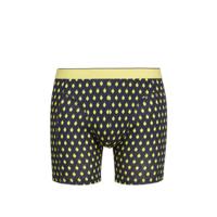 WE Fashion Fundamentals boxershort