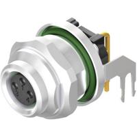 Weidmüller 2424360000 Sensor/actuator inbouwconnector M8 Aantal polen: 4 Stekker, inbouw horizontaal 10 stuk(s)