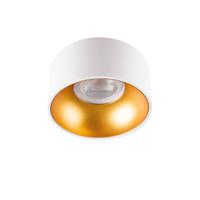 Kanlux 27576 Riti Plafondlamp GU10, Par 16 Goud (mat), Wit (mat)