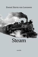 Steam - Ewout Storm van Leeuwen - ebook