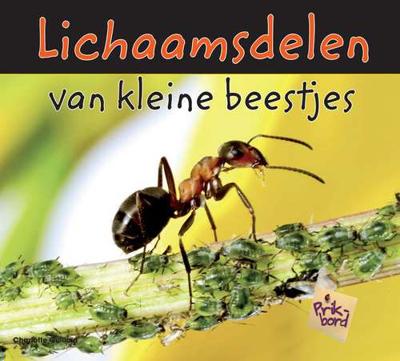 Lichaamsdelen van kleine beestjes - Charlotte Guillain - Hardcover (9789055660223) Lichaamsdelen van kleine beestjes - Charlotte Guillain - Hardcover (9789055660223)