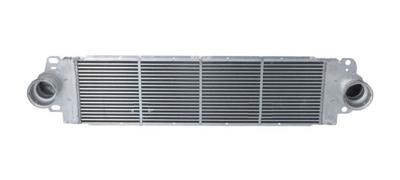 Intercooler 06014730
