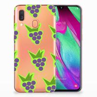 Samsung Galaxy A40 Siliconen Case Druiven