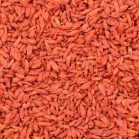 Goji bessen 300 gram navul