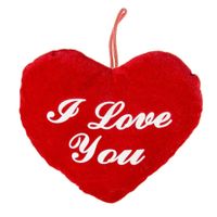 Pluche rood hart kussen I Love You 22 cm