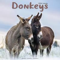 Donkeys Calendar 2026 Square Animal Wall Calendar - 16 Month