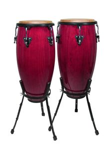 Hayman CNG-25-WR conga set