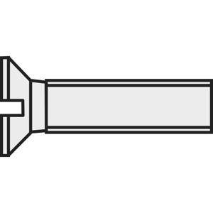 TOOLCRAFT 839956 Verzonken schroeven M3 30 mm Sleuf DIN 963 Kunststof, Polyamide 10 stuk(s)